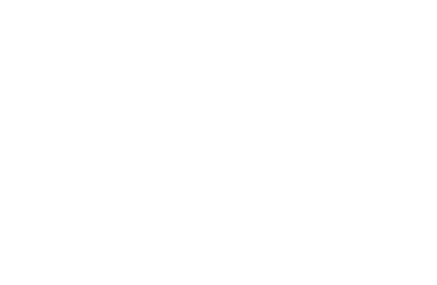 Smart Chip Sverige